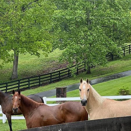 Nicura Ranch Inn & Stables バリア エクステリア 写真